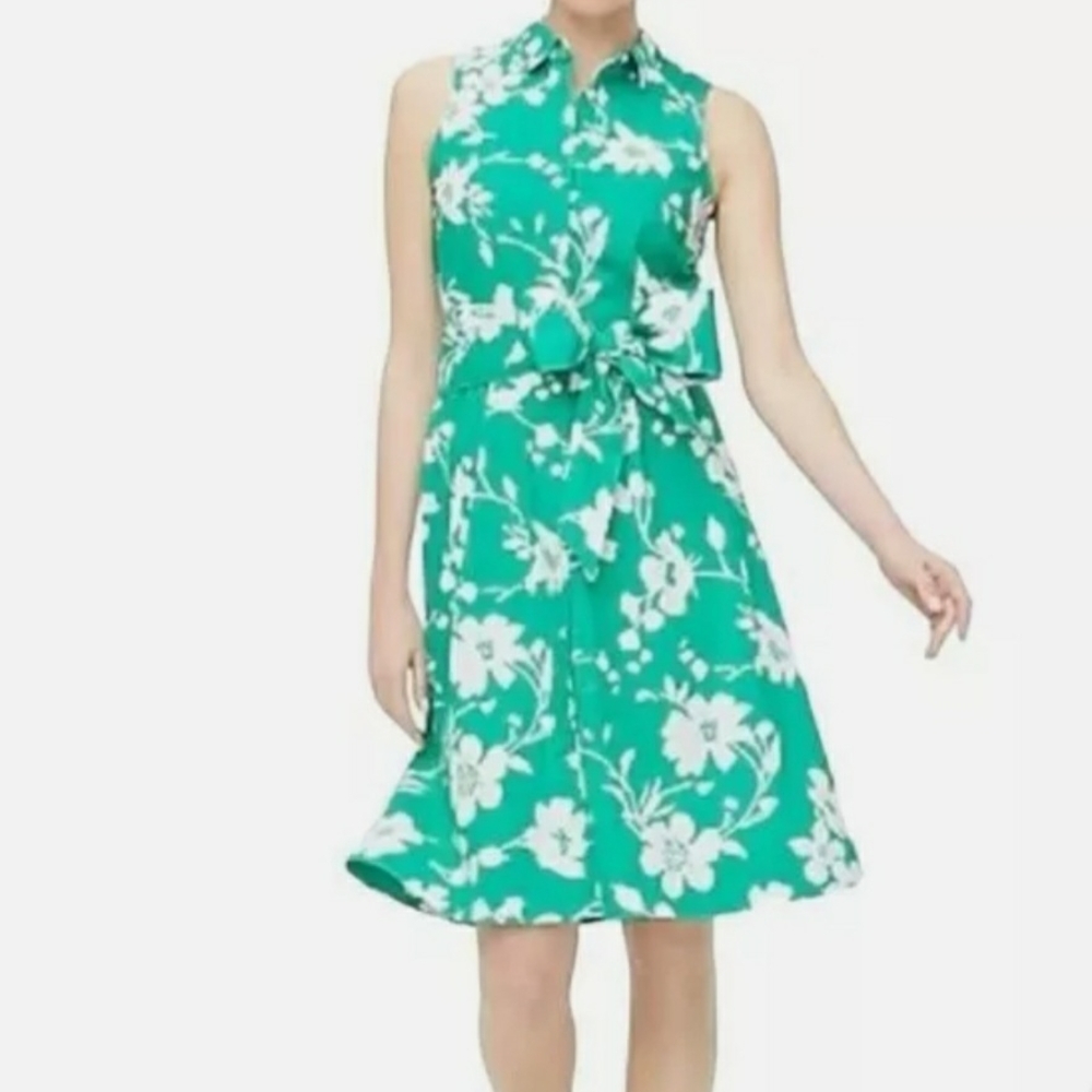 J. Crew Green and White Buttoned Polo Collar Sundress